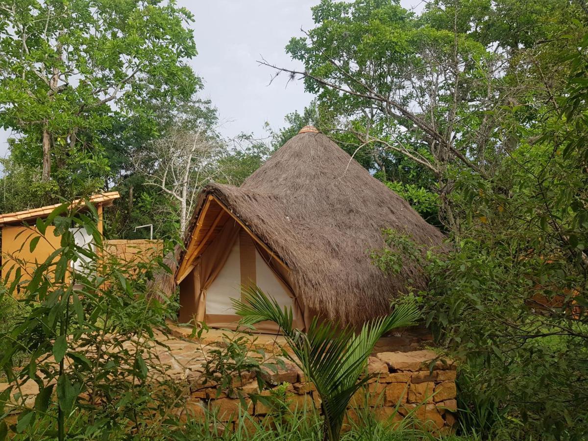 Hotel Nativo Glamping à Barichara Extérieur photo