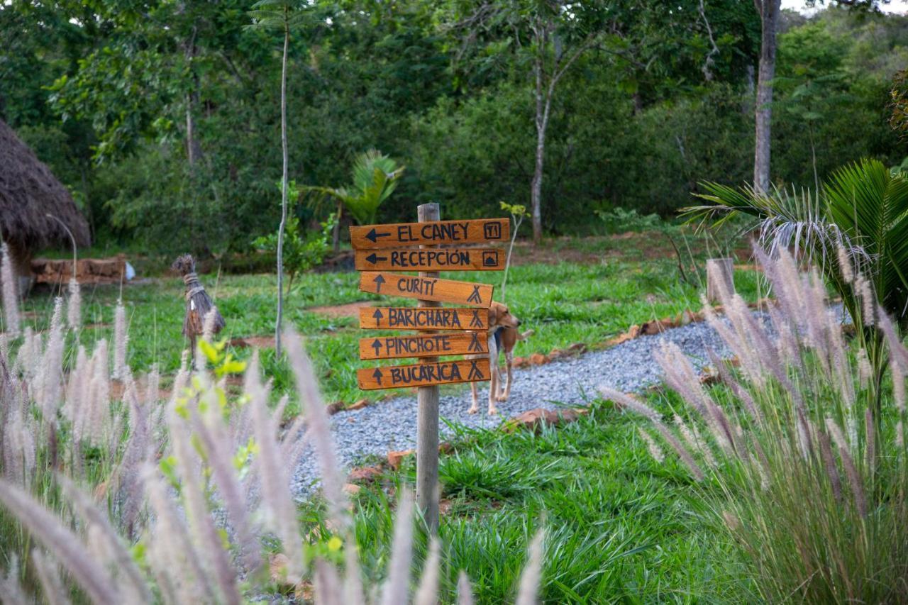 Hotel Nativo Glamping à Barichara Extérieur photo