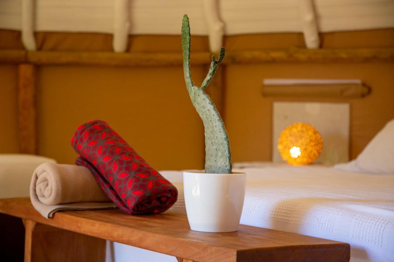 Hotel Nativo Glamping à Barichara Extérieur photo