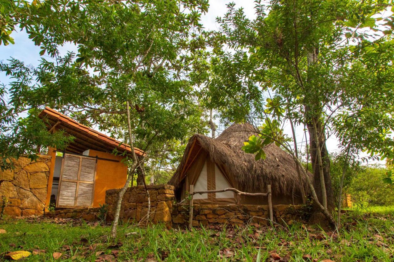 Hotel Nativo Glamping à Barichara Extérieur photo