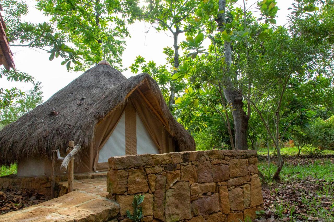 Hotel Nativo Glamping à Barichara Extérieur photo
